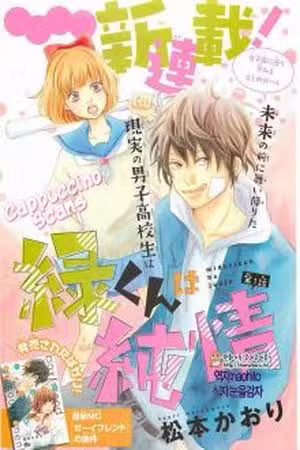 Midori-kun wa Junjou Scan
