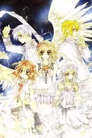 Shinshi Doumei Cross Scan