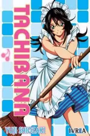 Nikkan Tachibana Scan